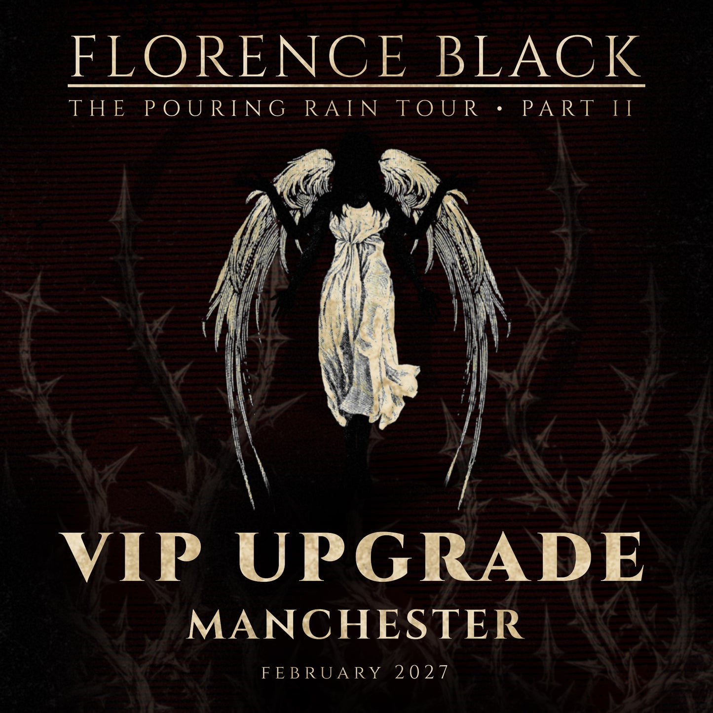 MANCHESTER FEB 19: VIP UPGRADE