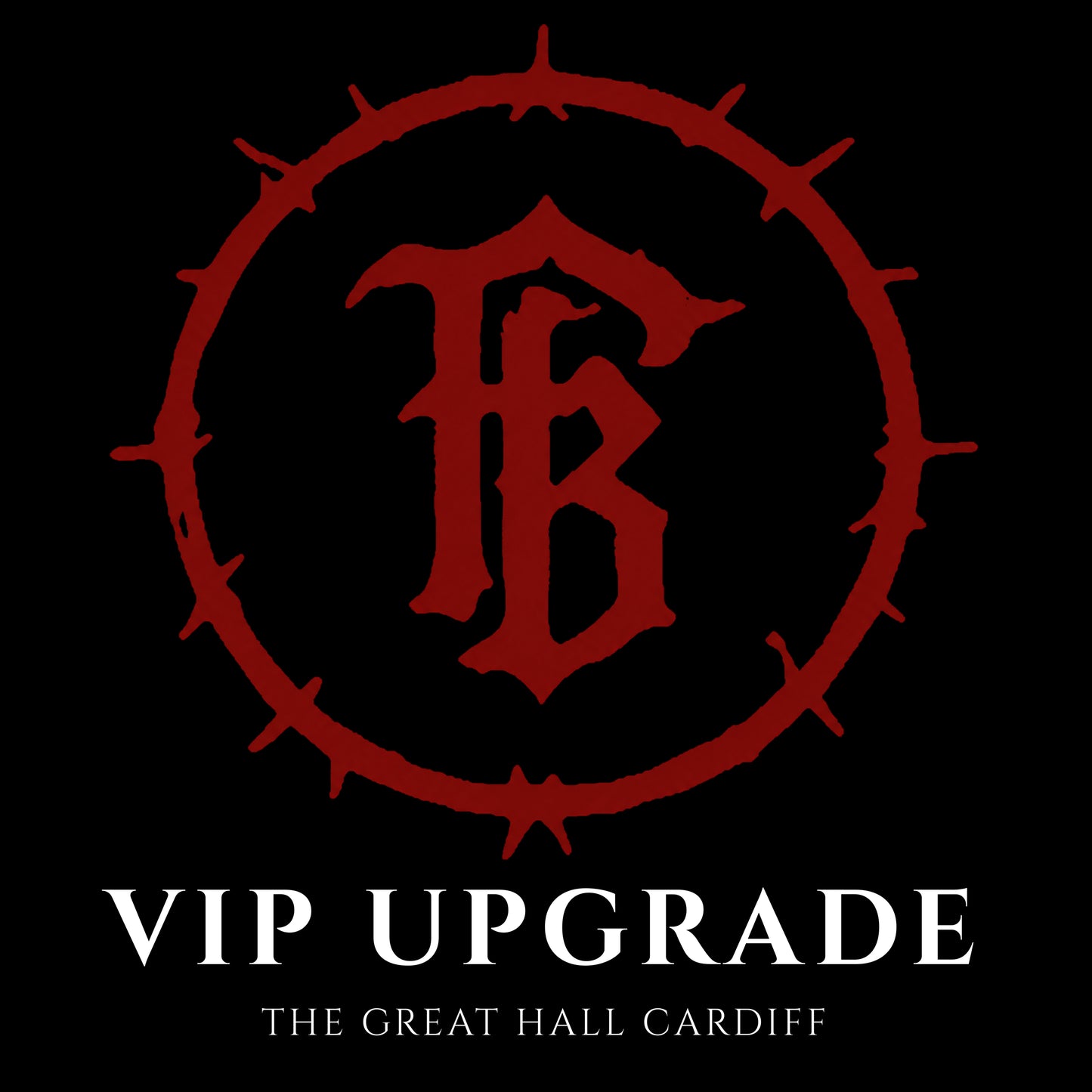 CARDIFF DEC 19: VIP UPGRADE