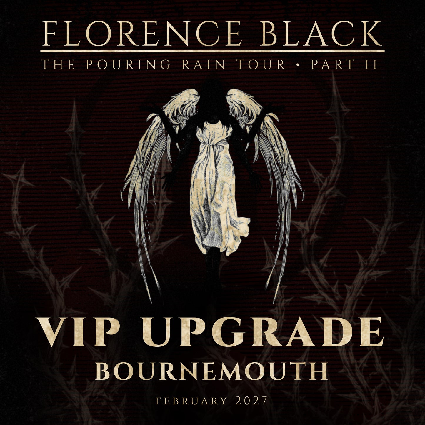 BOURNEMOUTH FEB 26: VIP UPGRADE