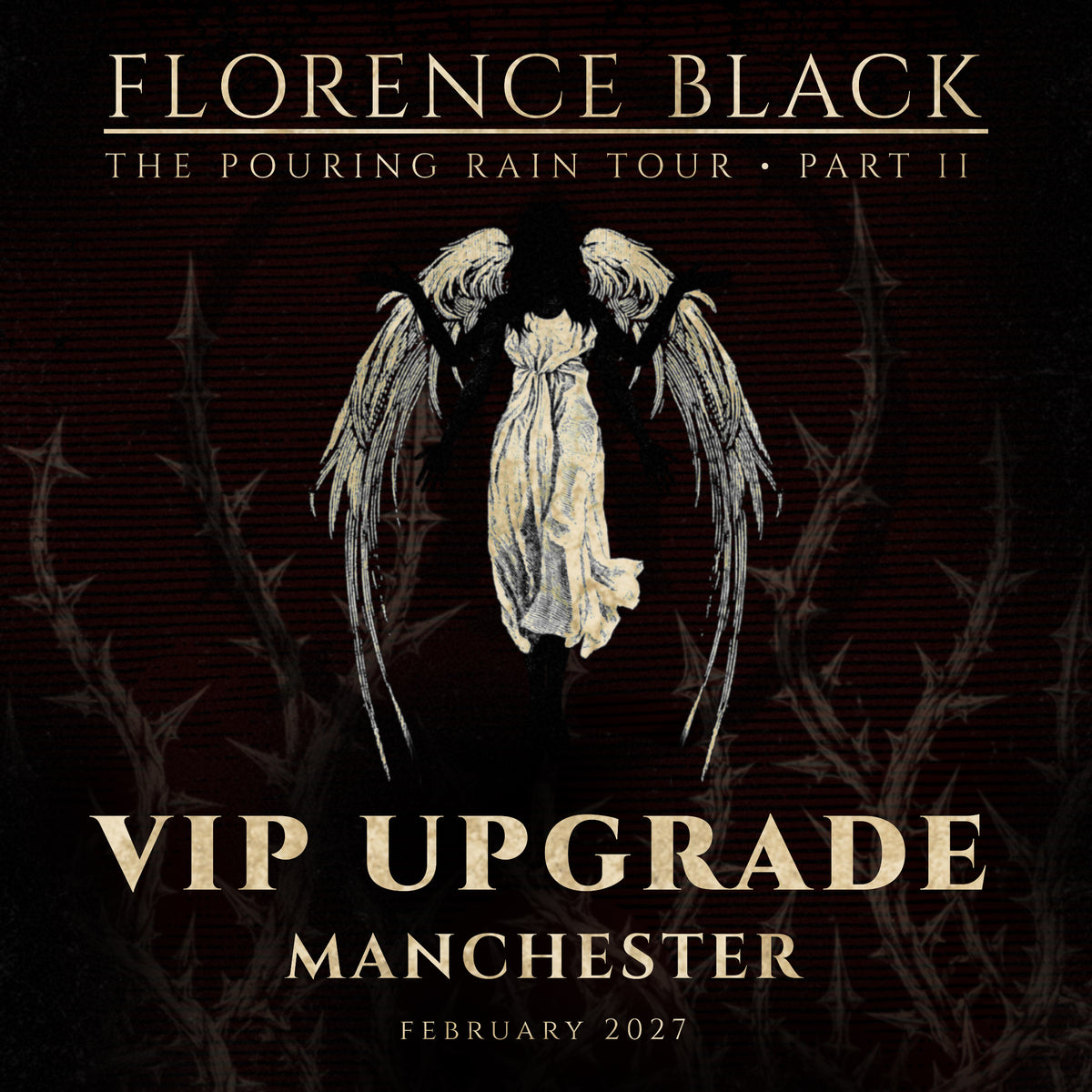 MANCHESTER FEB 19: VIP UPGRADE