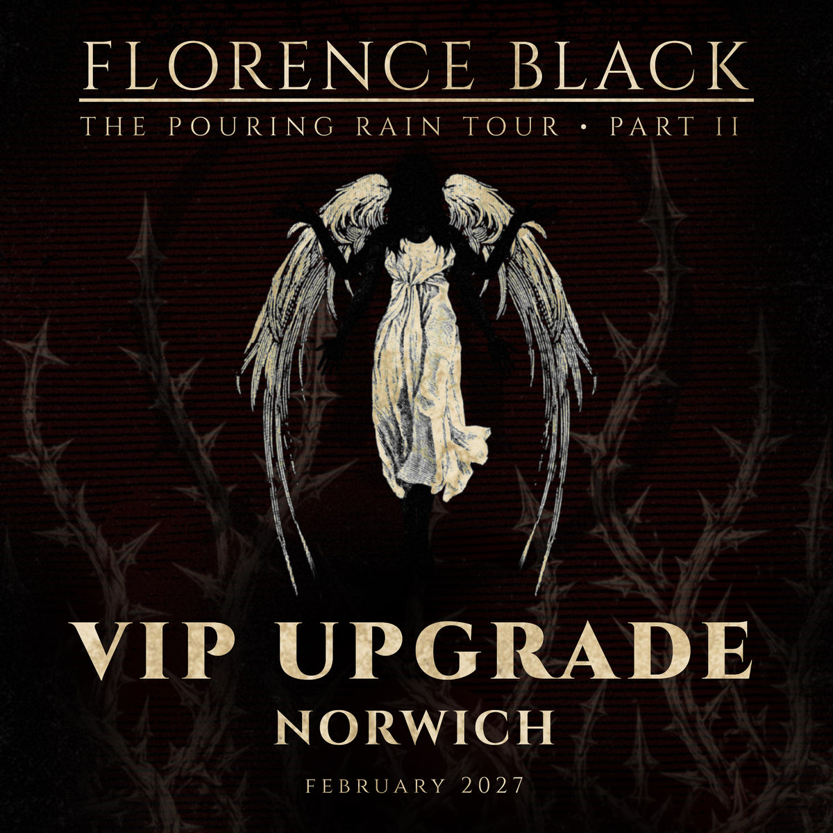 NORWICH FEB 23: VIP UPGRADE