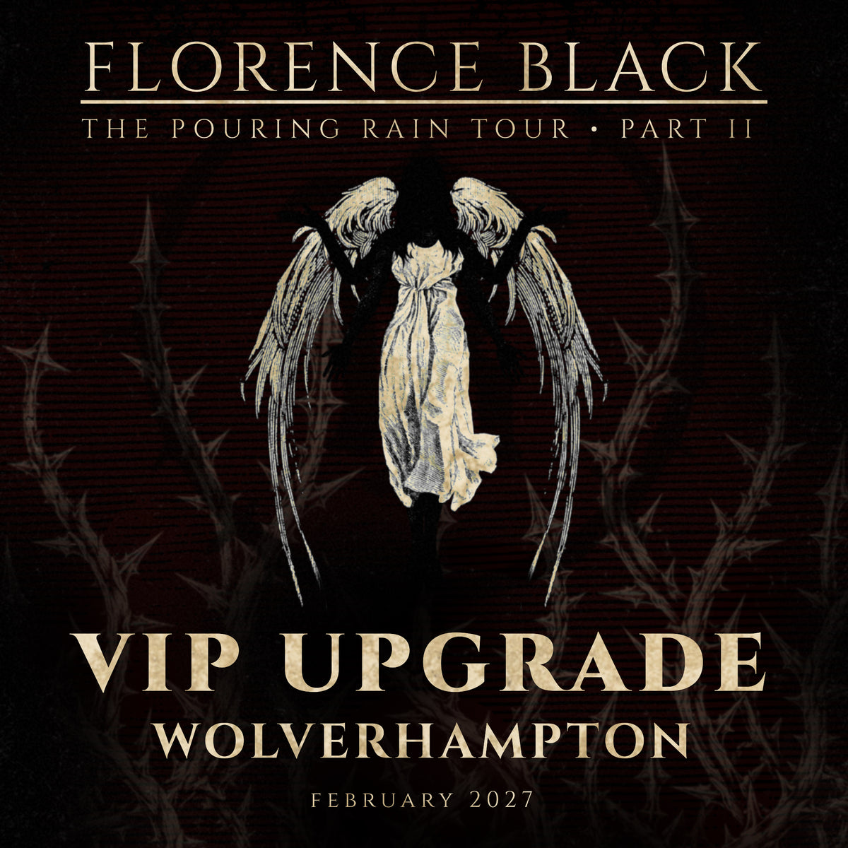 WOLVERHAMPTON FEB 20: VIP UPGRADE